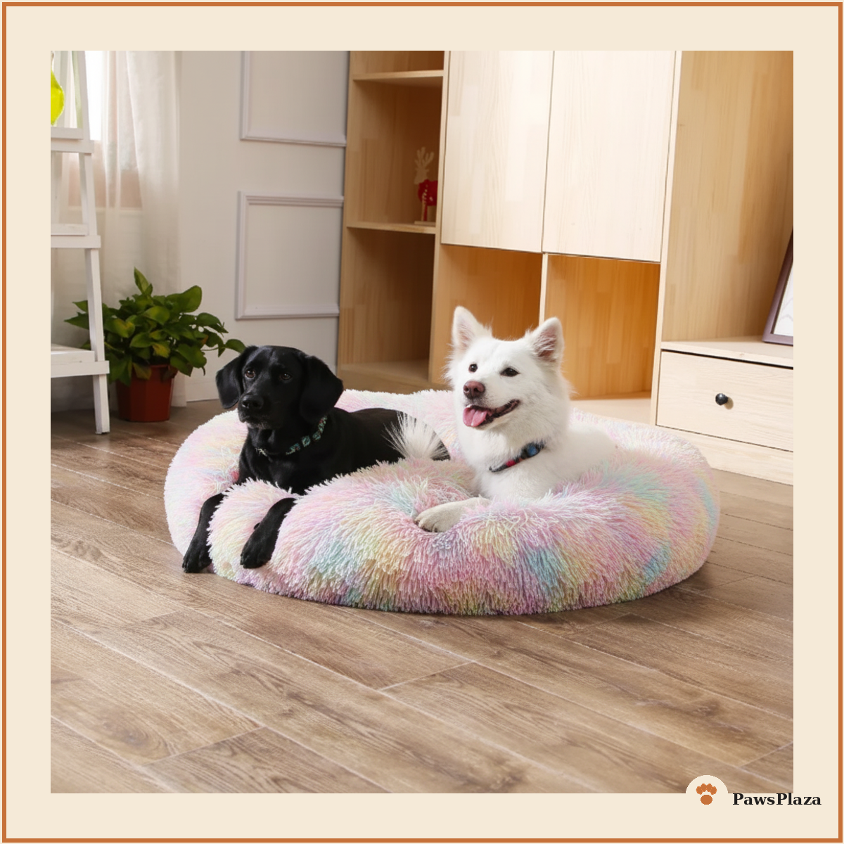 Black and white dogs resting together in colorful calming donut bed