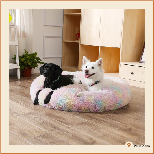 Black and white dogs resting together in colorful calming donut bed